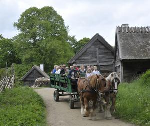 The horse-drawn carriage