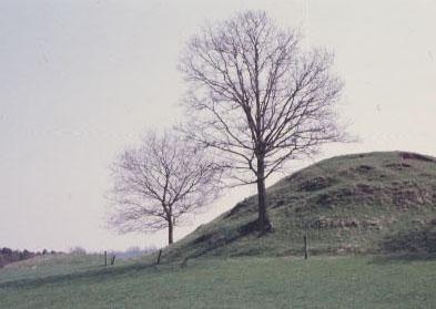 The people in the Bronze Age barrows