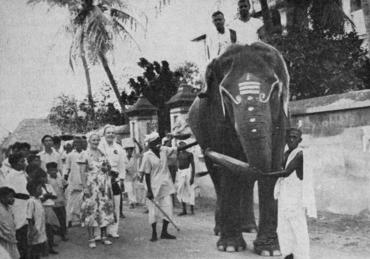 “The temple elephant at the jubilee celebration”: The ordination of Bishop Manikam took place exactly 250 years after the arrival of Bartolomäus Ziegenbalg as the first protestant missionary to Tranquebar. Photo: Fra Det Danske Missionsselskab. Årbo