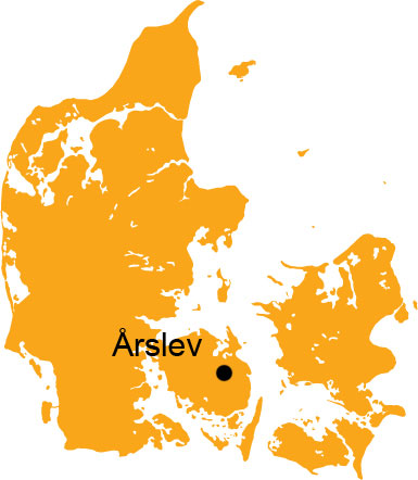 The Årslev grave