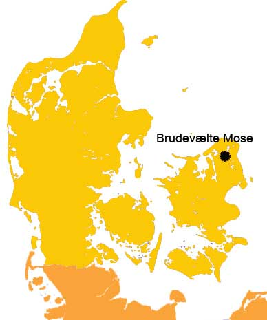 The lurs from Brudevælte
