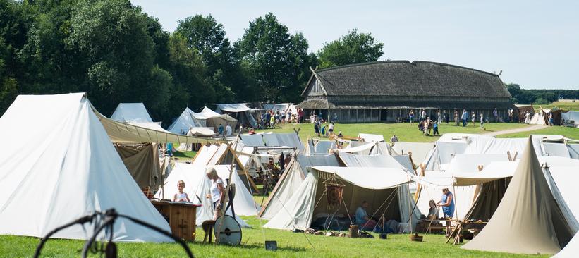 Viking Festival