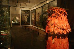 Eckhout paintings and feather cape of the Tupinambá of Brazil. Exhibited in the Ethnographic Collection at the National Museum