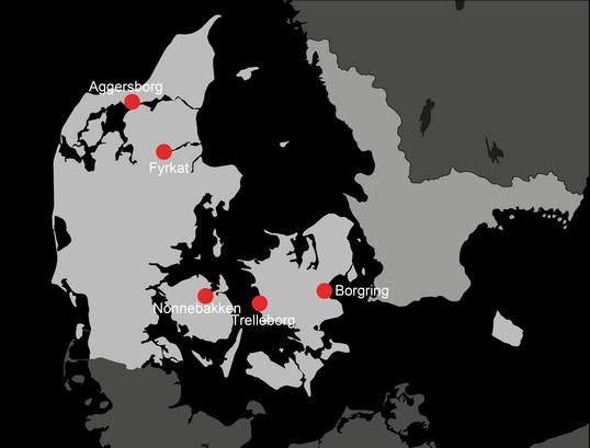 Viking-Age Ring Fortresses