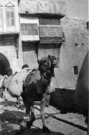 Hama in the 1930s