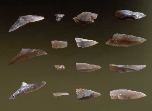 The hunter's arrowheads