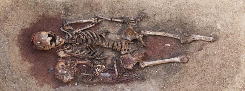 Skeleton. Burial from Vedbæk North of Copenhagen. C. 5000 BC.
