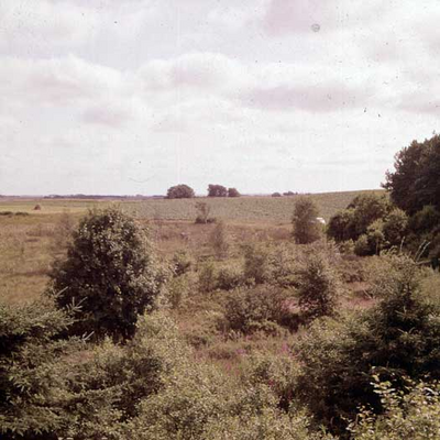 The Gundestrup Cauldron