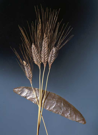 The tools of the farmers