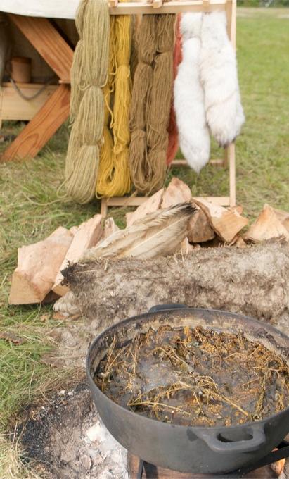 Viking Era Natural Dye