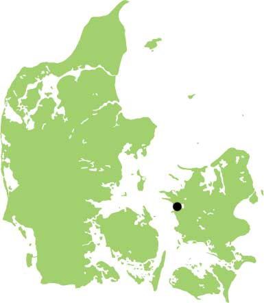 The magnate dynasty at Tissø