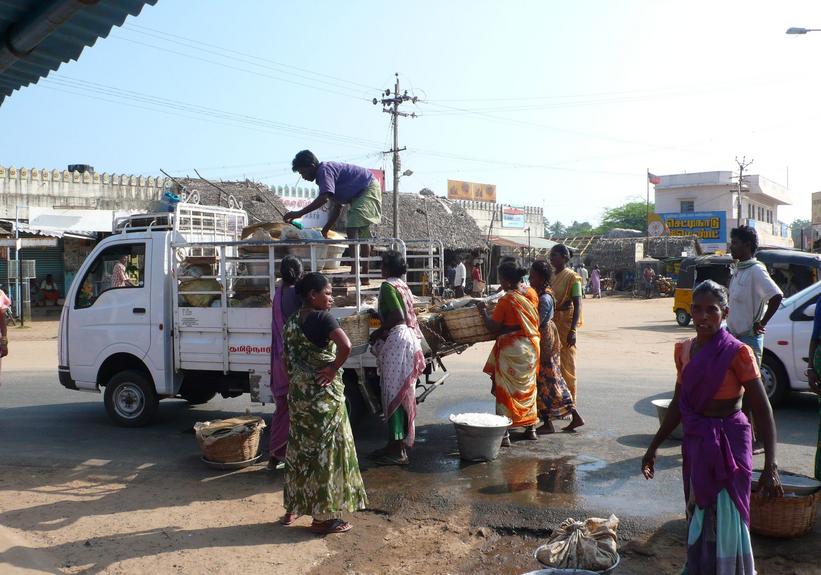 Female fish vendors loading a mini truck bound for markets further inland. Photo: Caroline Lillelund, 2007. National Museum of Denmark